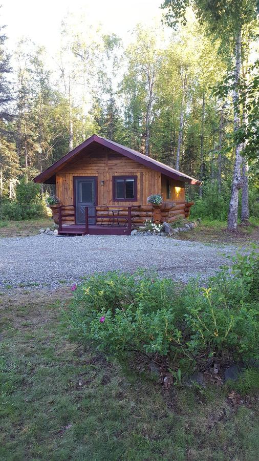 Talkeetna Fireweed Cabins Exterior photo