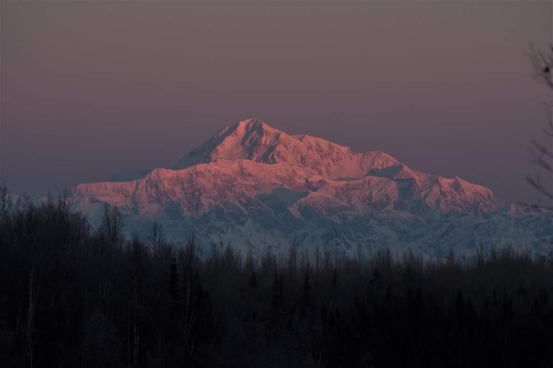 Talkeetna Fireweed Cabins Exterior photo